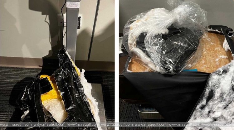 ప్రయాణీకుడి బ్యాగ్‌లో షాబో.. సీజ్ చేసిన కస్టమ్స్